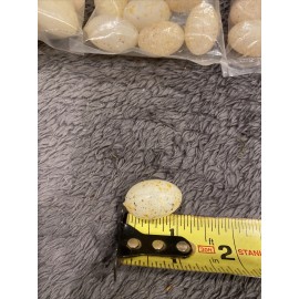 25 Packs Of Small eggs for use in Crafts. 12 Per Pack 300 Total Plastic Eggs