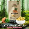 Himalayan Chef Freeze-Dried Fruit – 15g/Each Freeze-Dried Pineapple | Organic