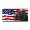 Black Labrador on American Flag License Plate