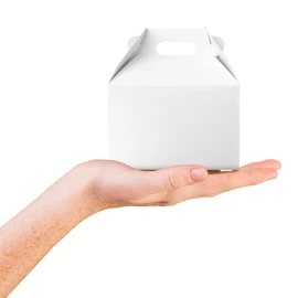 Caja de Cartón Box Lunch Mini Color Blanco (25 pzs)