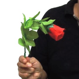 Rosa gehorsam - professionelle Magie Tricks geheimnisvolle Box mit Video erklären Artikel für Kinder Sammlerstücke der Marke