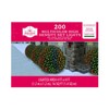 Holiday Time 200 Multicolor High Density Net Lights - 4
