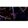 White Lightning Strike Graphic Vinyl Car Wrap Film Sheet +