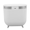 Humidifier 2L Capacity USB Charging Delicate Double Spray Humidifier with