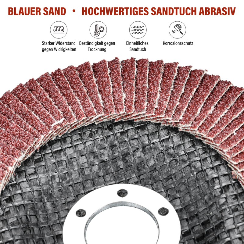 HATANSE Pack of 10 Flap Discs Diameter 125 mm x