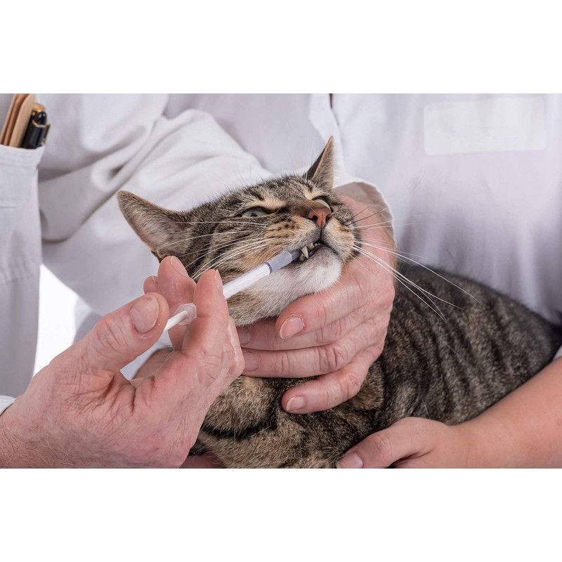 1ml Syringes with Caps (Pack of 50pcs)