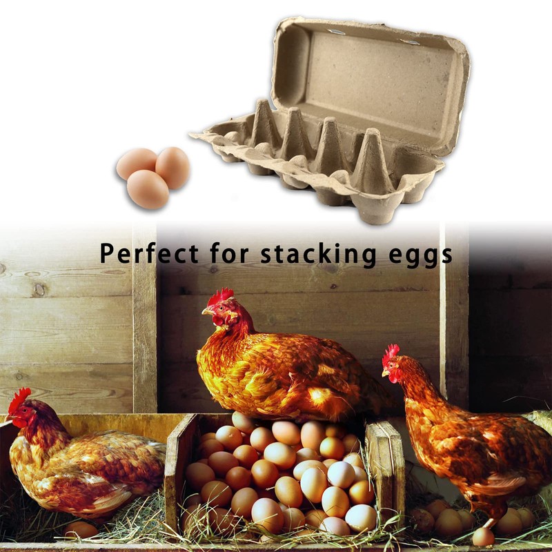 Egg Box Egg Boxes Pack of 10 Cardboard Pack of