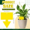 Qualirey 100 Pcs Dual Sided Fruit Fly Traps - Indoor