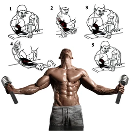 Wrist Strengthener, Forearm Exerciser Hand Wrist Power Developer Dumbbell Bar Home Forearm Muscle Arm Grip Strength Training Exercise Equipment Arm Wrestling Workout