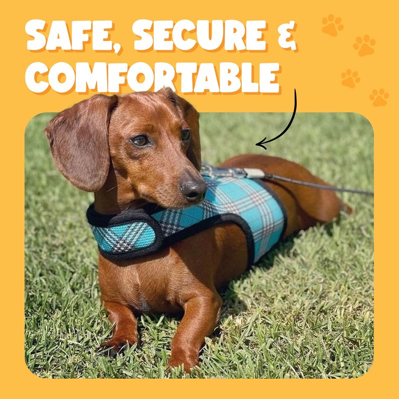 Bark Appeal Blue Wrap N Go Dog Harness for Small-Medium