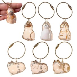 ZCVFA Cat Hair Storage Bottle Keychain, Cat Fur Keepsake Capsule Pendant Loved Cats Whisker Jar Memorial Container Keychain Memorial Gifts Storage Bottle for Collecting Pet Hair(Mixed 6pcs)