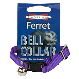 Marshall Pet Products Ferret Bell Collar Purple
