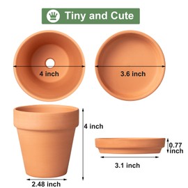 4 Inch Terracotta Pot with Saucer - 6 Pack Small Clay Plant Pots with Drainage Holes, Flower Pots with Tray, Terra Cotta Pots for Indoor Outdoor Plants, Crafts, Wedding Favor