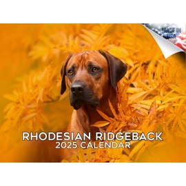 2024 2025 Rhodesian Ridgeback Calendar - Dog Breed Monthly Wall Calendar - 12 x 18 Open - Thick No-Bleed Paper - Giftable - Academic Teacher's Planner Calendar Organizing & Planning