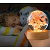 Preserved Red Daisy Crystal Ball Night Light,3D Crystal Ball with