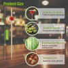 100/200 Pcs Cocktail Picks – 4.7" Bamboo Appetizer Skewers for