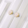 EVERGD 27mm Pure Copper Handle Shell Brass Gold Wardrobe Kitchen