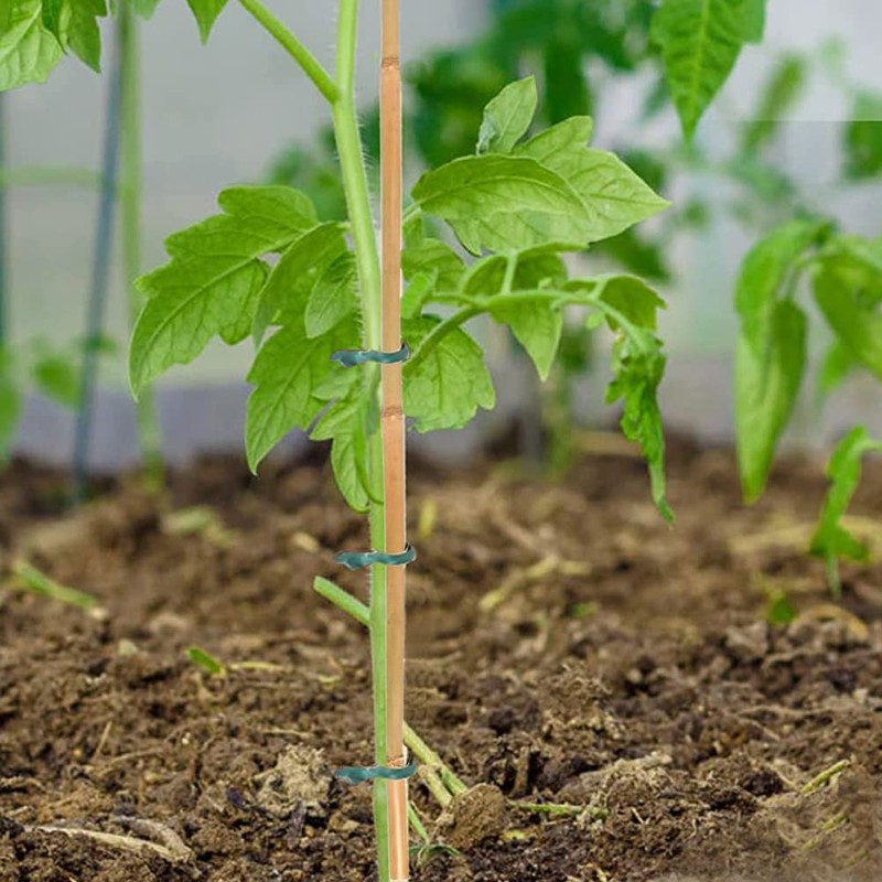20 Pcs 18 Inch Natural Bamboo Plant Support Stakes for