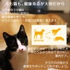 BUDDYPET Senior Intestinal Environment Supplement, For Dogs and Cats, 1.8