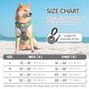 PoyPet No Pull Dog Harness and 5 Feet Leash Set,