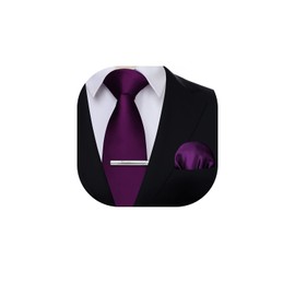 HISDERN Purple Ties for Men Tie and Pocket Square Set Wedding Solid Color Tie on Clips Necktie Handkerchief For Business