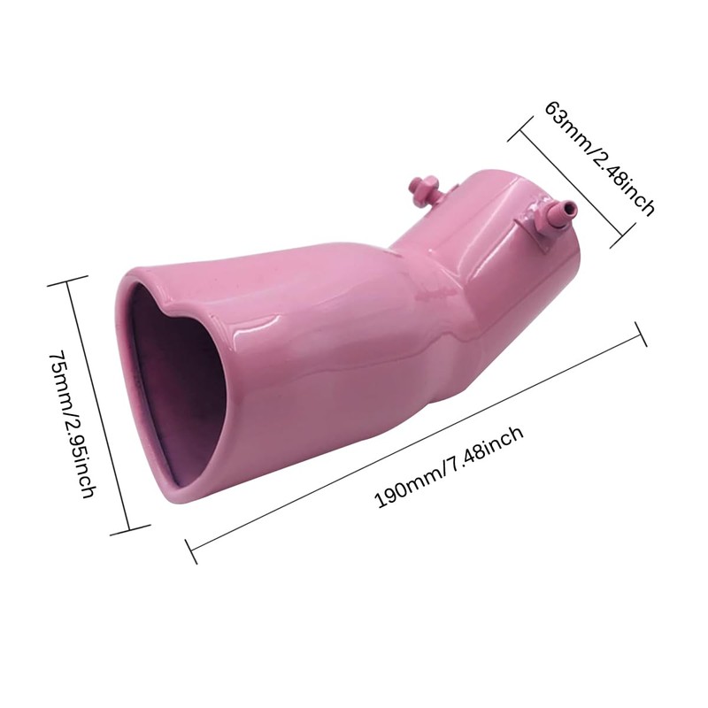 OtpOutopa Car Exhaust Tip 2.5 inch Inlet, Universal Car Exhaust