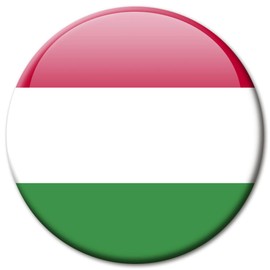 Magnet Fridge Magnet Flag Hungary Magnet with Hungary Flag Design Ø 5 cm Design Countries Hungary Flag Hungary For Magnet Board/Pin Board/Noticeboard/Whiteboard – With GUMA Magnets
