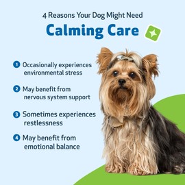 Pet Wellbeing Calming Care for Dogs - Veterinarian-Formulated - Calm Support, Relaxed Nervous System, Emotional Balance, Adaptogens, Ashwagandha, Holy Basil - Herbal Supplement 4 oz (118 ml)