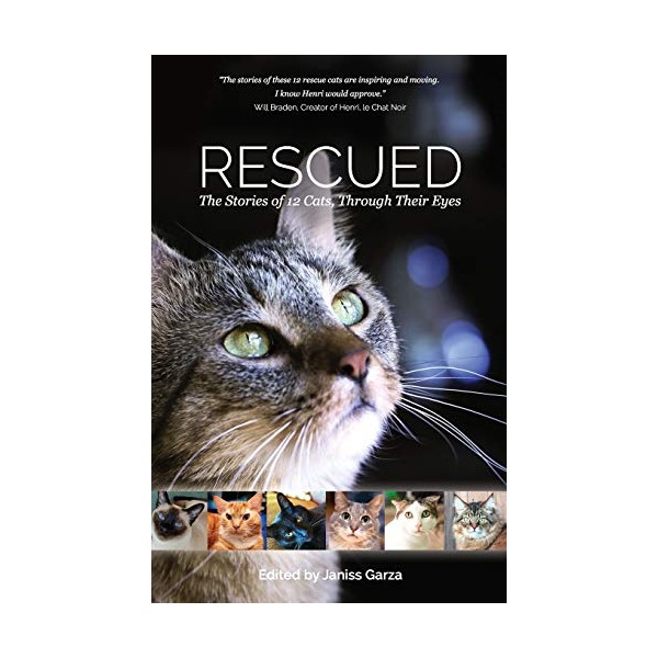 Rescued: The Stories of 12 Cats, Through Their Eyes