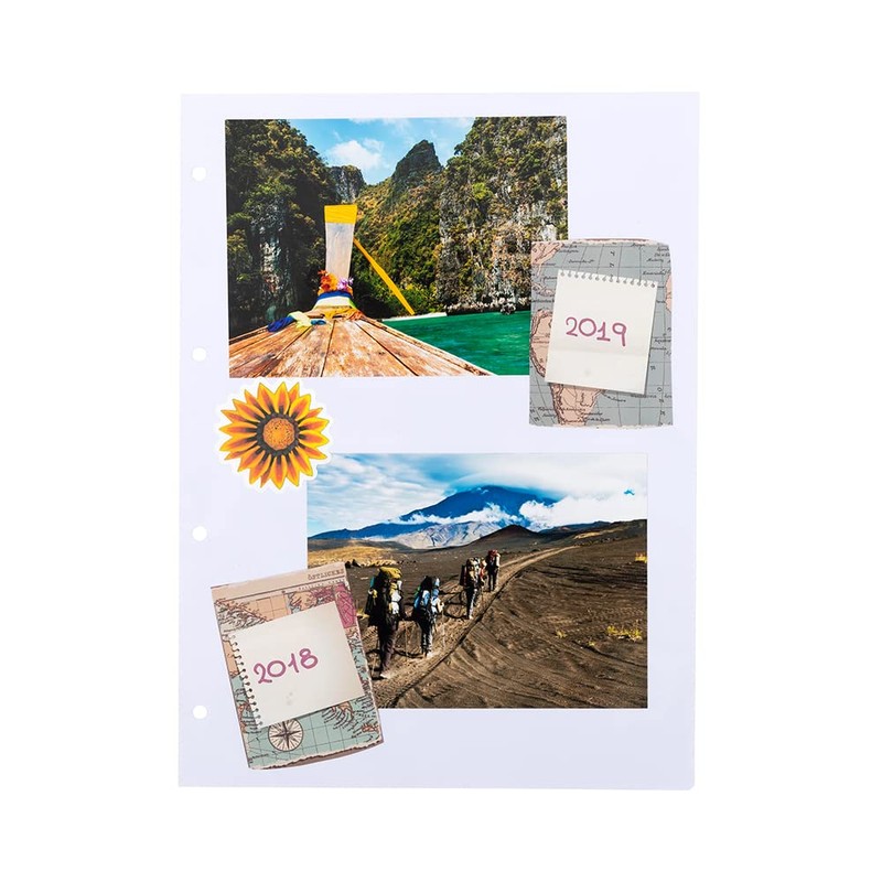 Hofmann Magnetic Sheets for Ring Album, Pack of 20, Magnetic