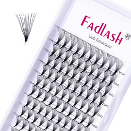 Eyelash Extensions 14D 0.07 Premade Lash Fans Pointed Base Premade Volume Lash Extensions C D Curl Pro Point Pre Fan Lash Extensions Easy Application (14D-0.07C-8-14mm)