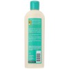 SoftSheen-Carson Optimum Salon Haircare Amla Legend Moisture Remedy Conditioner, 13.5