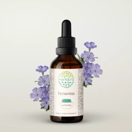 HerbEra Periwinkle Tincture, Organic (Vinca major) - 2 fl oz
