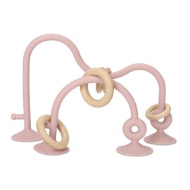 Socub Silicone Baby Sensory Toys, Montessori Educational Toys for Baby 6 12 18 Months, Parent-Child Toys with Suction Cup,2 Pack(Rose Pink)