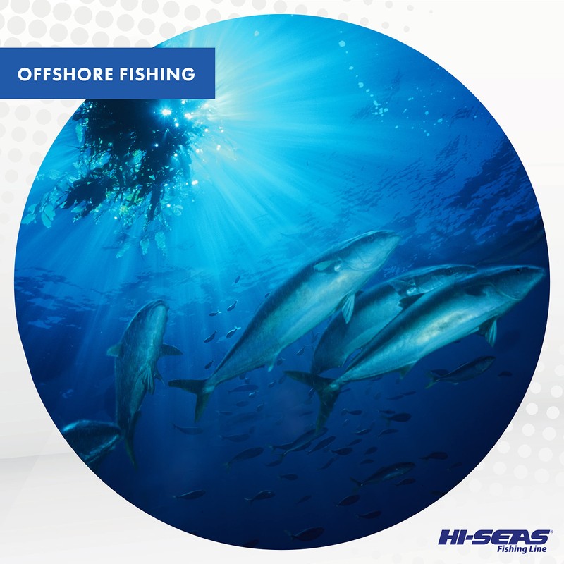 Hi-Seas Quattro Monofilament Line, 4 Camouflage, 8 Pound Test, 1-Pound