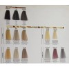 Silky Tinte Profesional 100ml Silky Cenizo Intenso