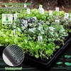 Seed Starter Trays with Grow Lights and Heat Mat, 72