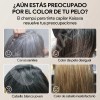 Kaisasa Shampoo Con Tinte Para Cubrir Canas 2 Pzs