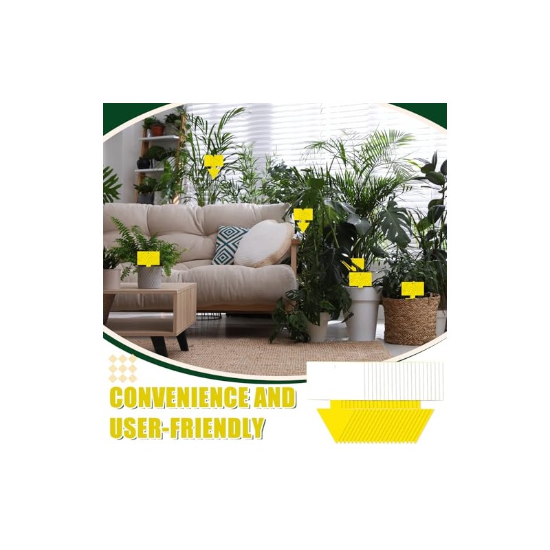 Qualirey 100 Pcs Dual Sided Fruit Fly Traps - Indoor
