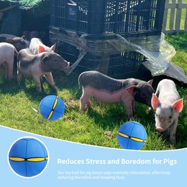 OOXYG Pig Toy - Toy for Pigs, Interactive Pig Flying Saucer Disc Ball Toys with 6 Lights for Mini Pigs, Enrichment Play for Pet Pigs Supplies Enjoyment and Fun