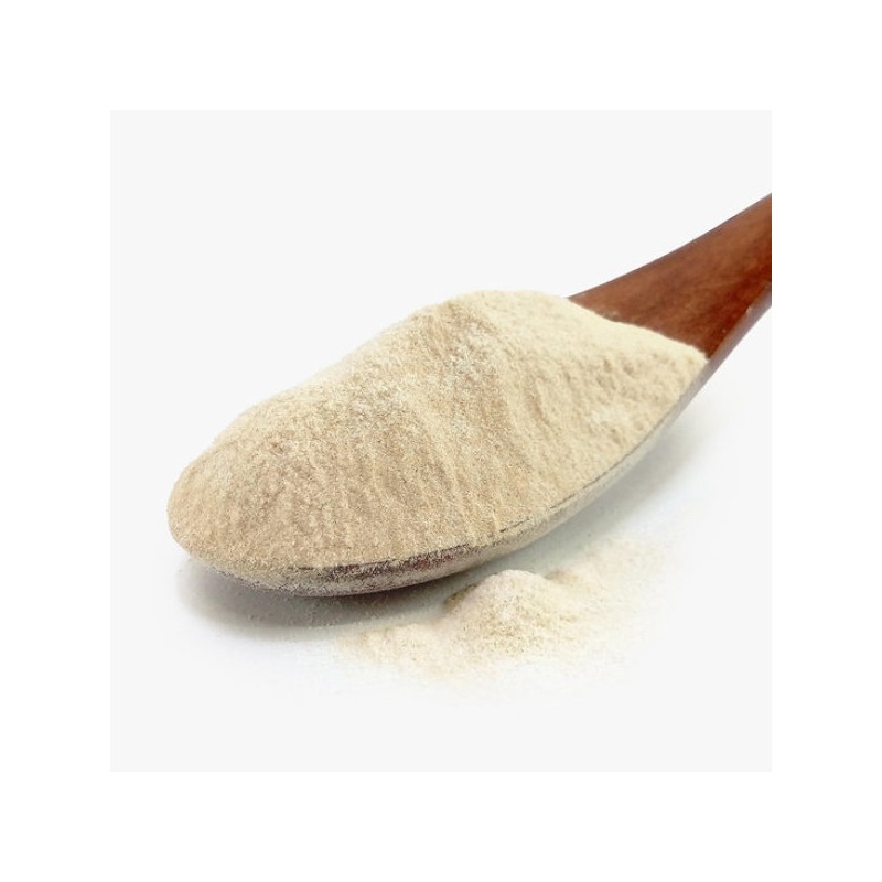 Oherb 매스틱 메스틱 검 가루 분말 150g Mastic Mastic Gum