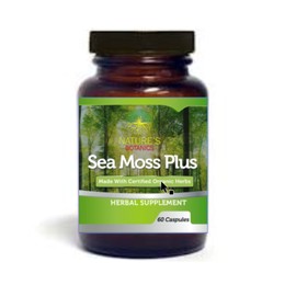 Nature's Botanics Sea Moss and Bladderwrack 100 capsules vegan organic