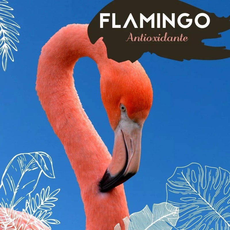 Vidamía Jabón Artesanal Med Pale Ale Vegano Antioxidante