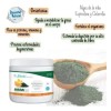 2 Algas De La Vida Espirulina Anemia Colesterol Regalo