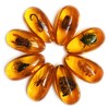Western Eagle Workshop 8pcs Amber Fossil with Insects Samples Stones