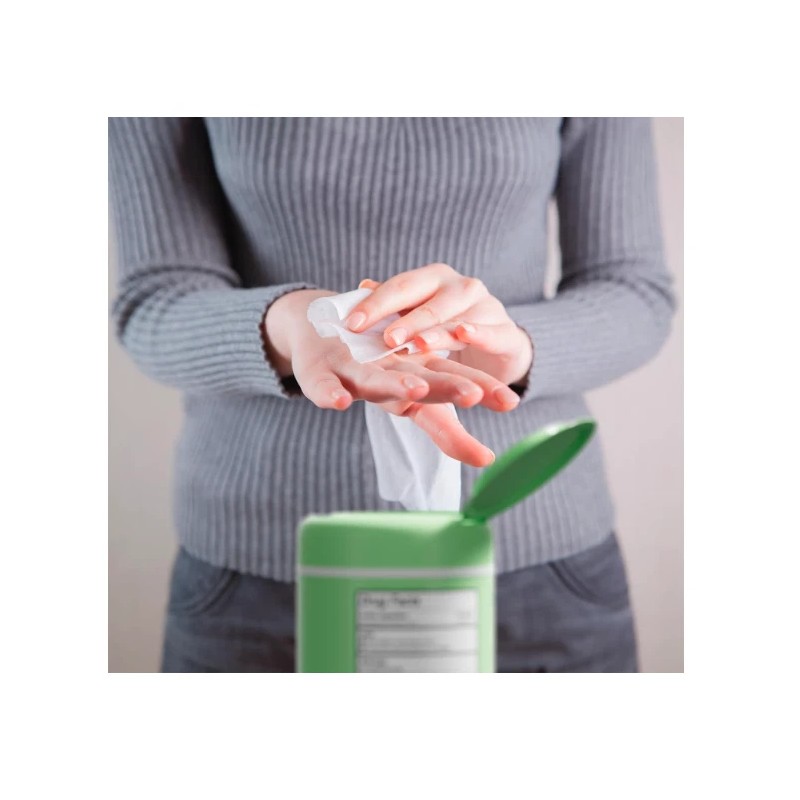 Biopure 2 Antibacterial Hand Wipes Fresh Morning Breeze 100 CT