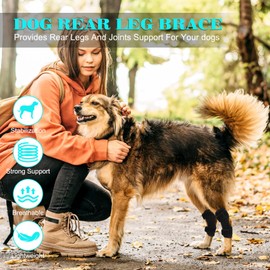 Domagiker Rear Leg Hock Brace, Dog Knee Brace with Metal Strips, Hock & Ankle Support Back Leg for Canine Torn, Dog Leg Sleeve for ACL & CCL Injury and Sprain Protection (Black, Small(one Pair))