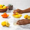 OXO Squeezer Citrus Juicer 2-in-1 Large and Small Set