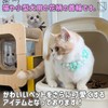 NABESHI Cat Collar, Cat Collar, Cat, Small Dog, Harness, Pet,