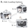 Extra Large Cat Carrier for 2 Cats, Soft Pet Car